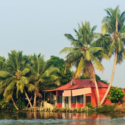 Travel to beautiful Kerala backwaters and enjoy the palm tree landscape of Alappuzha, India