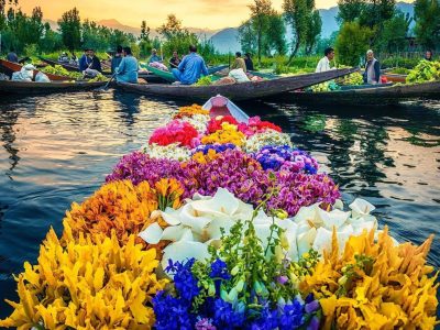 Super saver kashmir