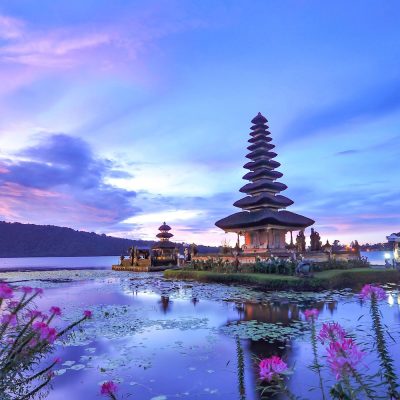 bali Hopper