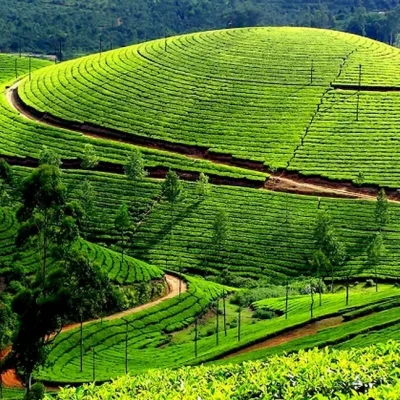 best of kerla