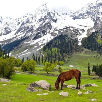 kashmir beauty