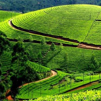 munnar thekkady short break