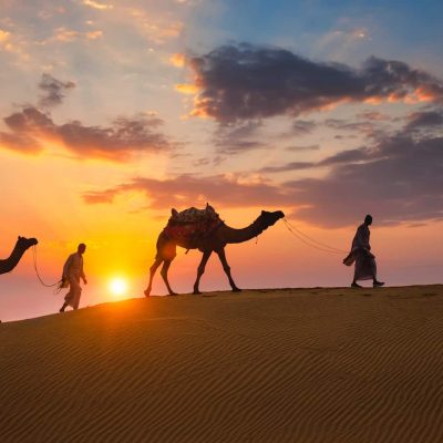 wilderness of rajasthan